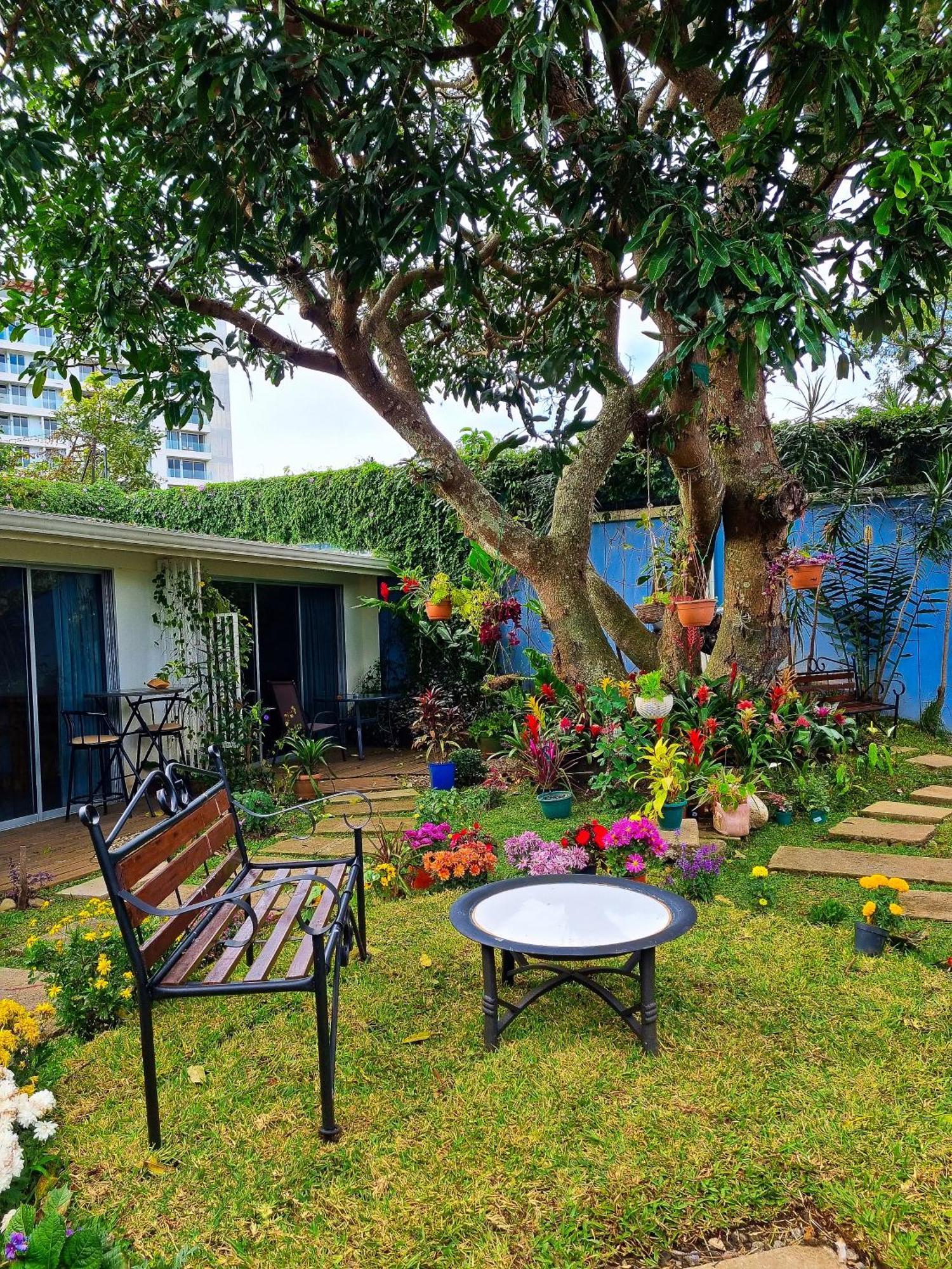 Casa Jardin Del Mango Hotel San Jose  Exterior photo